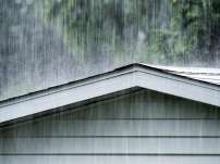 Rain Chains in the garden