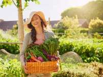 The harvest just got better